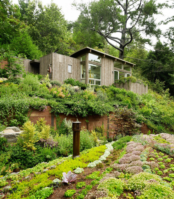 Mill Valley Cabins by Feldman Architecture mill valley cabin1 Mill Valley Cabins by Feldman Architecture