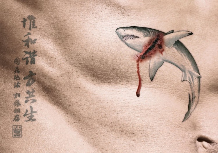 20+ Environmental Awareness Advertising Campaigns shark animal protection rgb 1024x72311 750x529 20+ Environmental Awareness Advertising Campaigns
