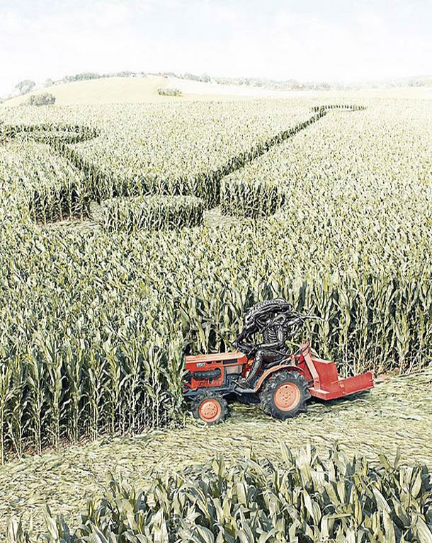 truth about crop circles The truth about aliens and crop circles