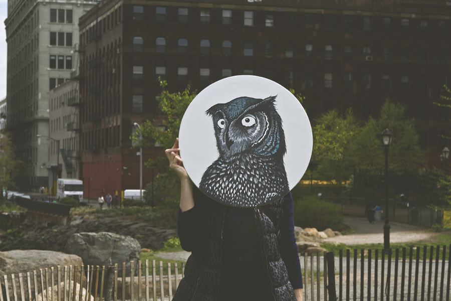 Owls in the city 0071 Owls in the city