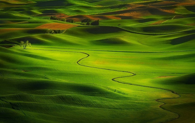Landscapes by Miles Morgan 01078 MilesMorgan04 Landscapes by Miles Morgan