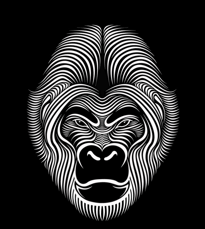 02 lineart Line Art Illustrations by Patrick Seymour