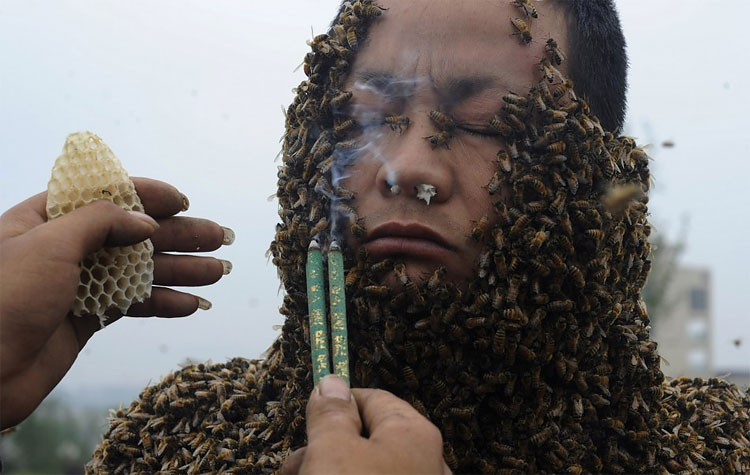1151 Man Covers Himself With 300,000 Bees In China For New World Record