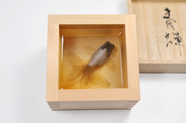 3D painted goldfish 6 Three Dimensional Goldfish Sculptures Made by Layering Paint and Resin