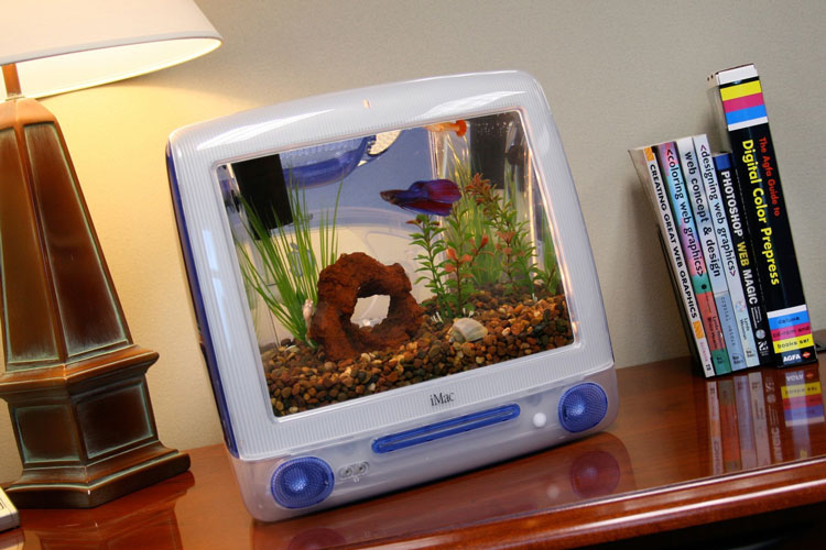 DYT imac quarium 2 pic on Design You Trust DYT imac quarium 2 Do you like fish, buys the Imacquarium!