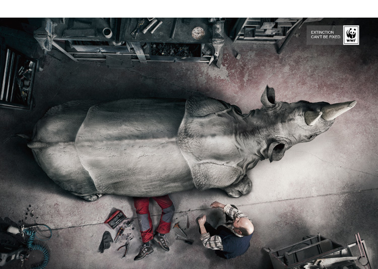 Gonsago Manso wwf rino Extinction cant be fixed   WWF advertising