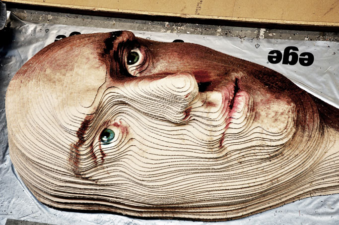 Giant 3D portrait of carpets IMG 2 Giant 3D portrait of carpets