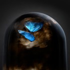 Conceptual Photography by Kevin Twomey Kevin Twomey4 140x140 Conceptual Photography by Kevin Twomey