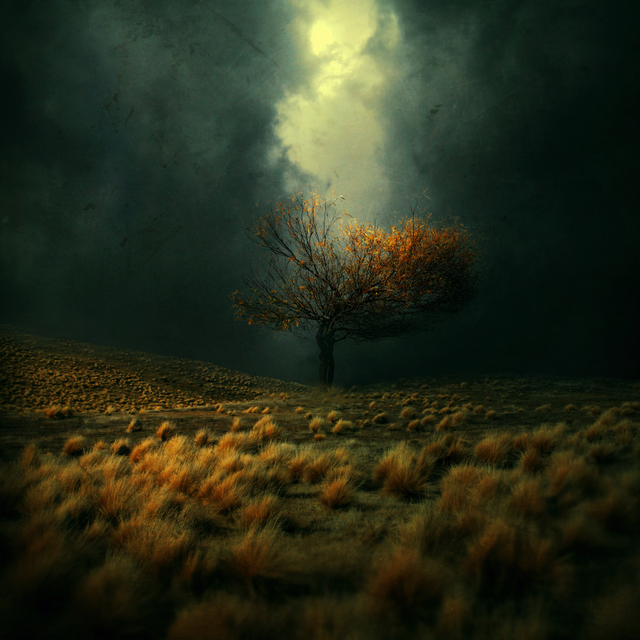 Kokoszkaa Photomanipulation by Kokoszkaa 2 Kokoszkaa