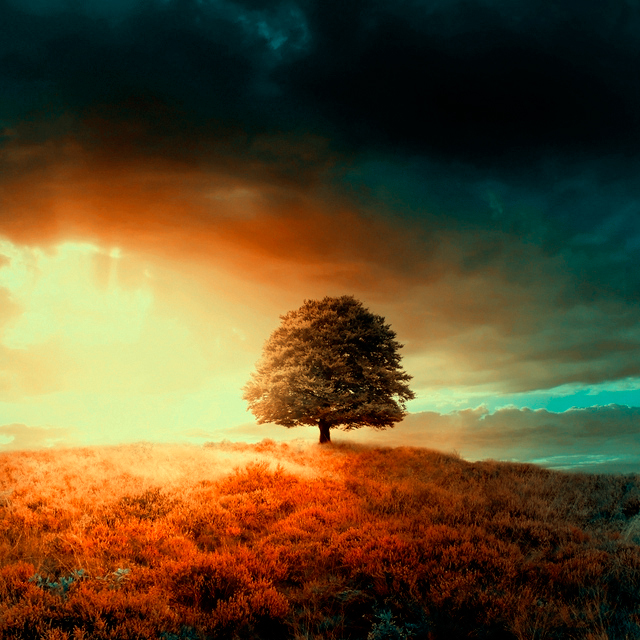 Kokoszkaa Photomanipulation by Kokoszkaa 5 Kokoszkaa