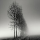 Black and White Photography by Pierre Pellegrini Pierre Pellegrini4 140x140 Black and White Photography by Pierre Pellegrini