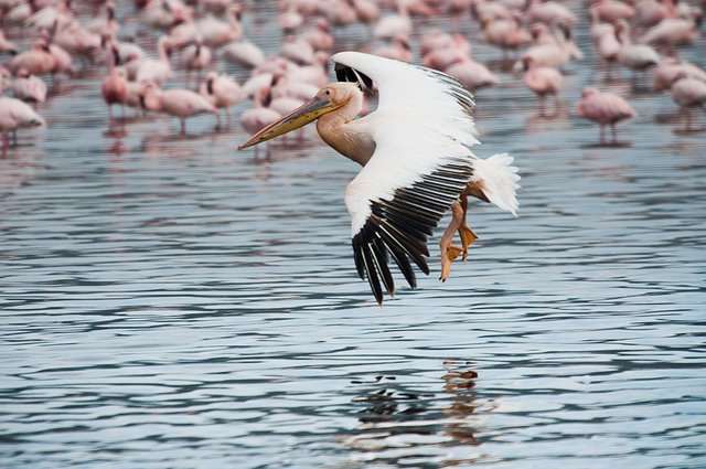Travel Photography by Sam Gellman Sam Gellman2 Travel Photography by Sam Gellman