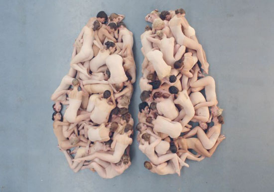 brain5 Human Brain of Humans
