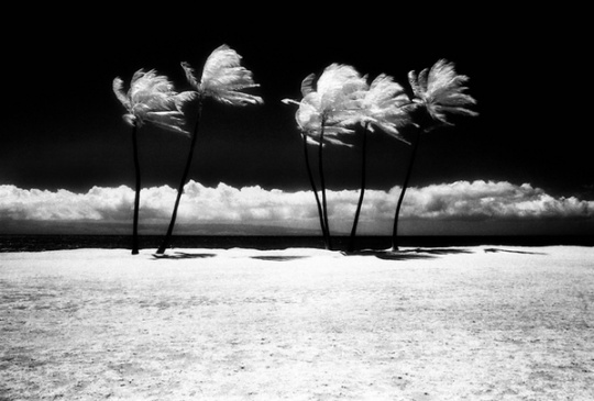 B&W Landscape Photography c1a7 B&W Landscape Photography