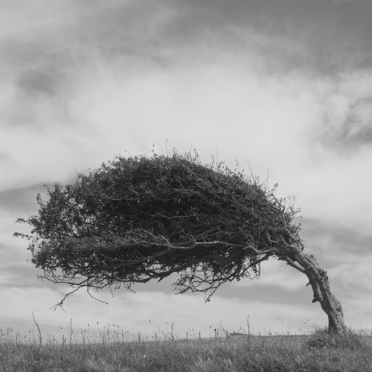 B&W Landscape Photography c1d7 B&W Landscape Photography