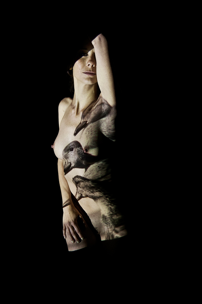 Animalia Editorial by The Weather Chanel editorial the weather chanel animal girl photo naked foto chica light animal print6 Animalia Editorial by The Weather Chanel