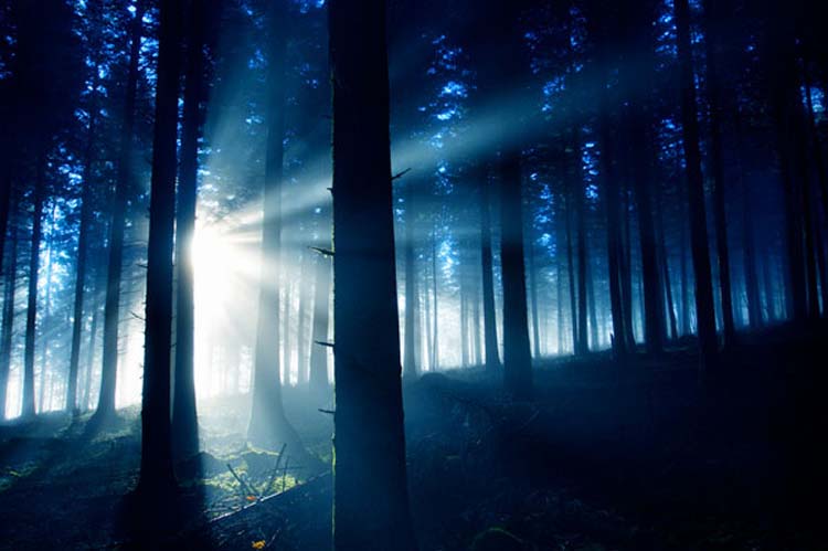 ff 4 Photography by Franck Feret