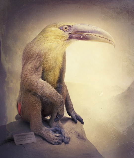 Daily Inspirations no. 408 i1b139 Daily Inspirations no. 408