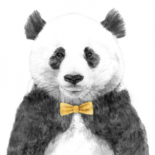Cute Animal Artworks i1b167 Cute Animal Artworks