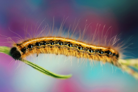 i1c120 Daily Inspirations no. 406