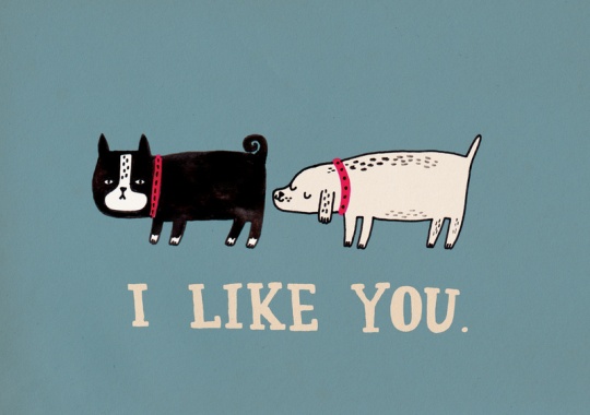 Cute Animal Artworks i1c170 Cute Animal Artworks