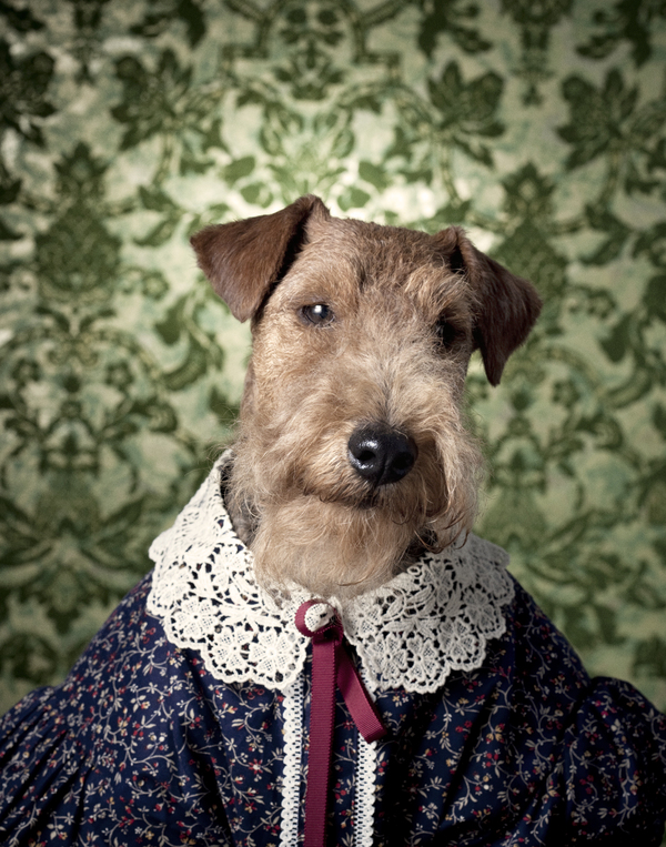 Canine Chronicles by Winnie Au i1c36 Canine Chronicles by Winnie Au