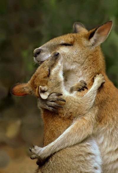 Daily Inspirations no. 409 i1d10 Daily Inspirations no. 409