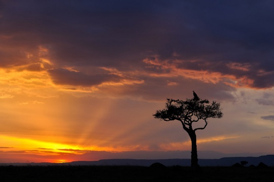 Daily Inspirations no. 411 i1d14 Daily Inspirations no. 411