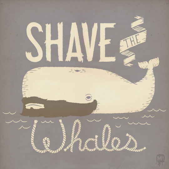 Cute Animal Artworks i1d15 Cute Animal Artworks