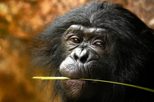 Daily Inspirations no. 408 i1d8 Daily Inspirations no. 408