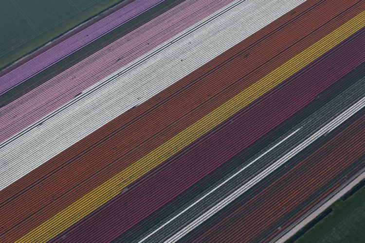jf6 Photography by Julian Faulhaber