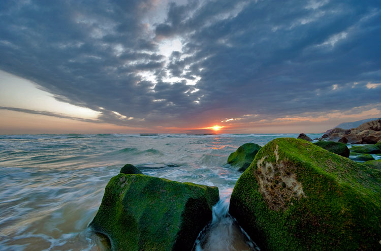 Photography by Jose Pombo pombo 2 Photography by Jose Pombo