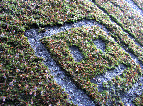 reverse art pressure washing street 5 Reverse Art Made By Pressure Washing The Street