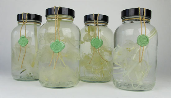 sterkwater01 Formaldehyde Flowers by Nienke Sybrandy