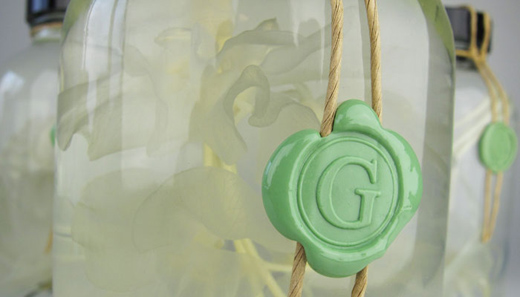 sterkwater02 Formaldehyde Flowers by Nienke Sybrandy