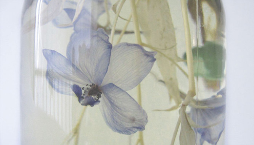sterkwater04 Formaldehyde Flowers by Nienke Sybrandy