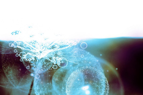 Biosphere: Photography by Tatiana Plakhova tatiana plakhova2 Biosphere: Photography by Tatiana Plakhova