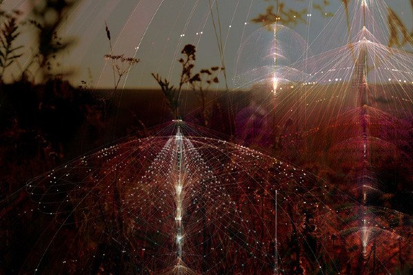 Biosphere: Photography by Tatiana Plakhova tatiana plakhova3 Biosphere: Photography by Tatiana Plakhova