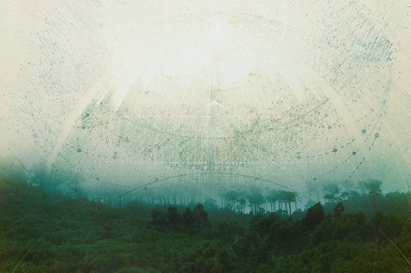 Biosphere: Photography by Tatiana Plakhova tatiana plakhova4 Biosphere: Photography by Tatiana Plakhova