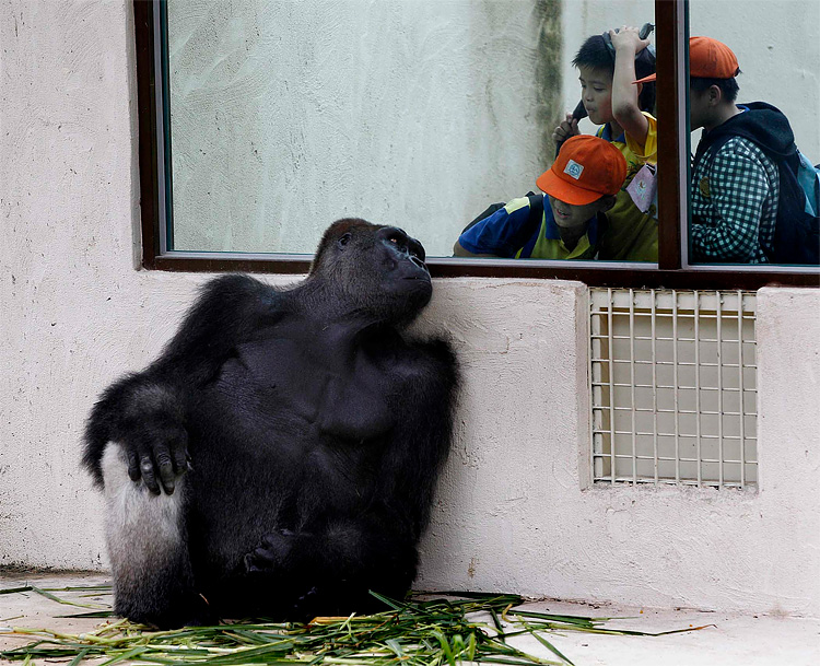 Photo of the Day: What is a Question? 1127 Photo of the Day: What is a Question?