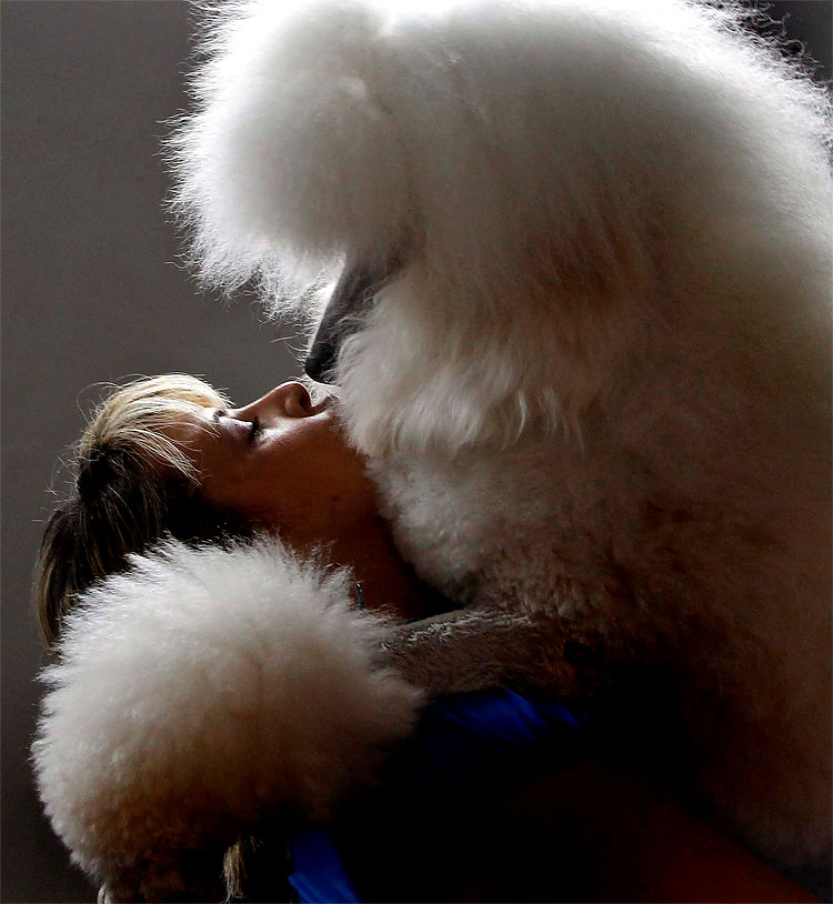 Photo of the Day: A Dog Kiss 115 Photo of the Day: A Dog Kiss