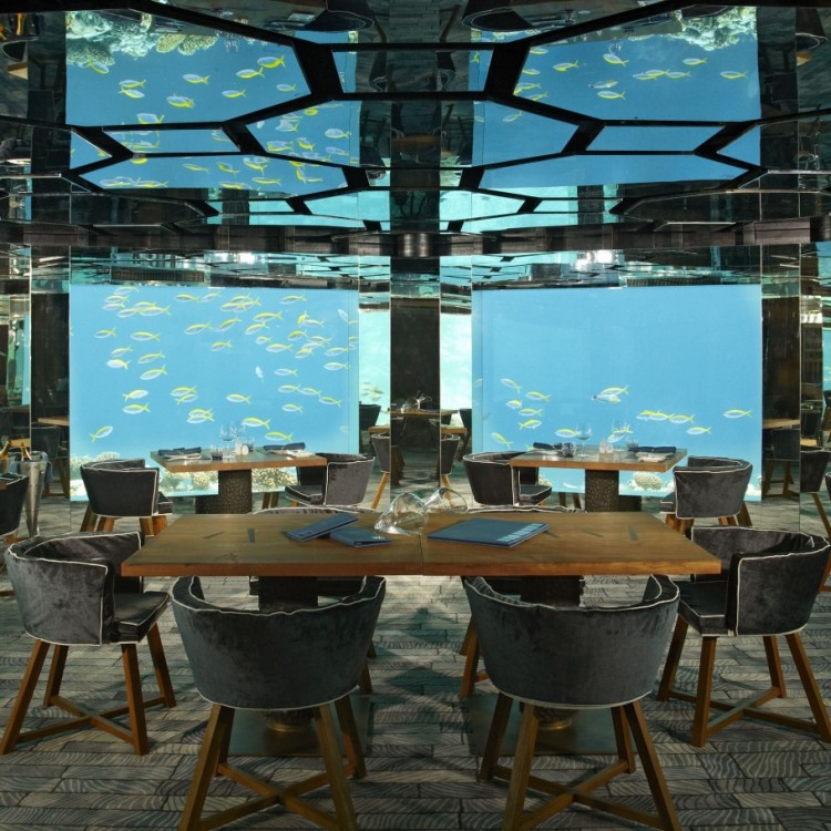 Underwater Dining Eat among the fish! 137 750x750 Underwater Dining Eat among the fish!