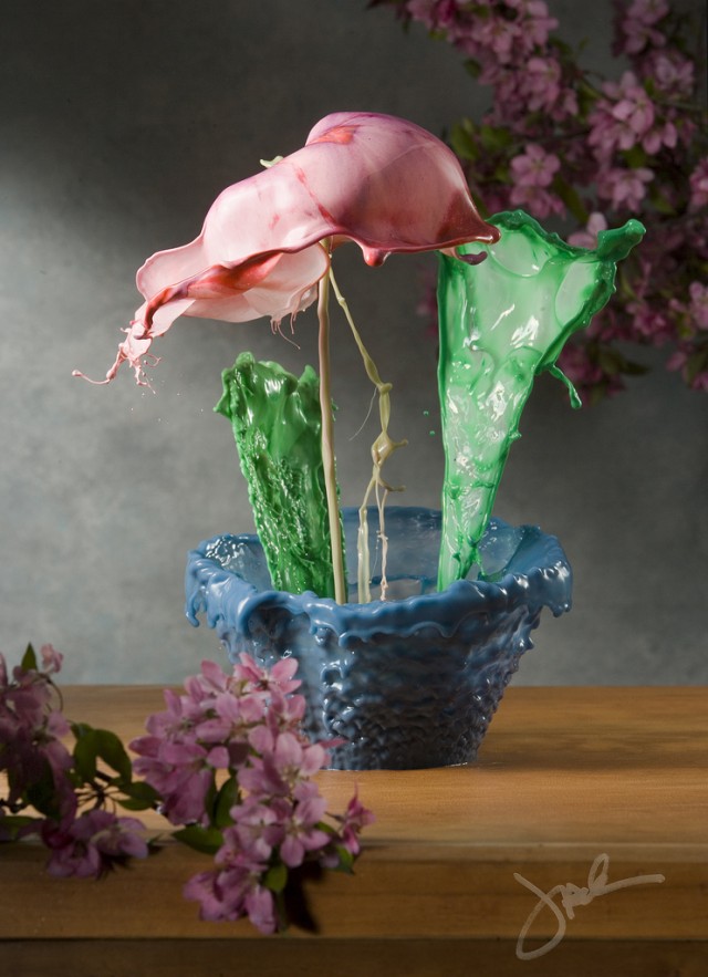 1404 pic on Design You Trust 1404 Paint Splashes Create Liquid Flowers