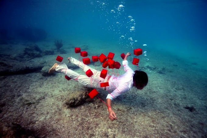 Underwater Photography by James Cooper 14bea JamesCooper8 Underwater Photography by James Cooper