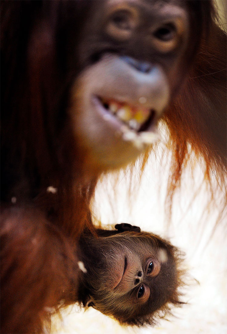 Photo of the Day: Sending a Care 150 Photo of the Day: Sending a Care