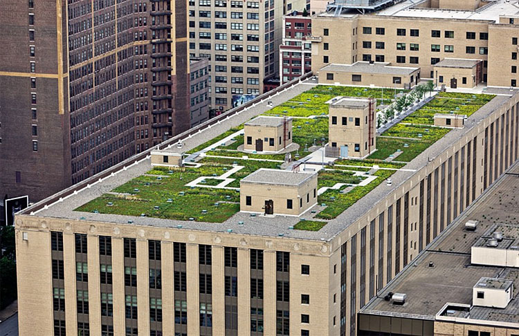 1511 New York Secret Rooftop World