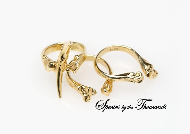Tooth And Bone Ring Set 1o61 Tooth And Bone Ring Set