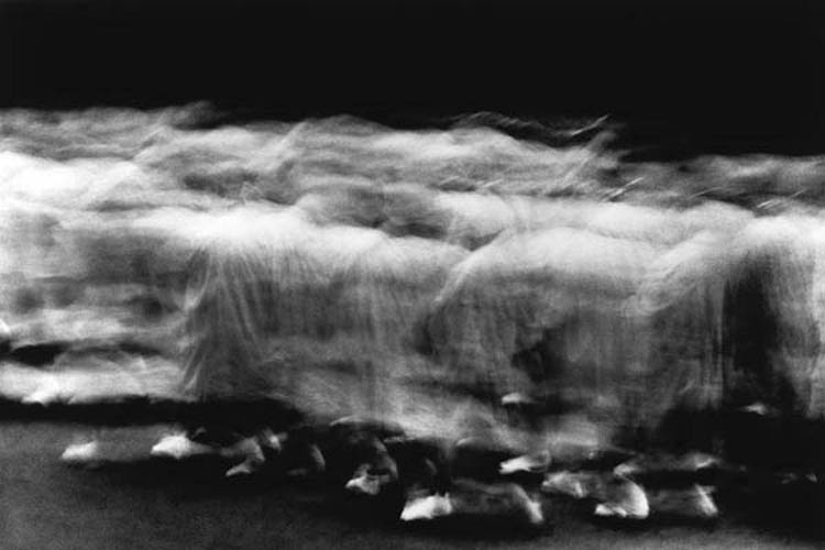 Photography by Petah Coyne 6110 Photography by Petah Coyne