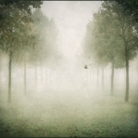 Photography by Bianca Van Der Werf Bianca Van Der Werf5 200x200 Photography by Bianca Van Der Werf