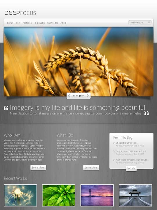 DeepFocus Theme pic on Design You Trust DeepFocus Theme Giveaway:One Year Elegant Themes Membership for 3 Winners(unlimited access)